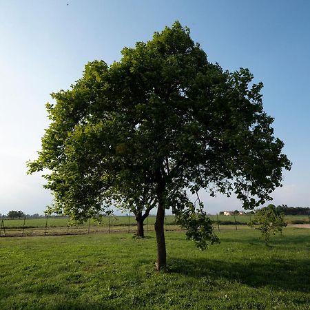 Agriturismo Cascina Graziosa Cameriano المظهر الخارجي الصورة